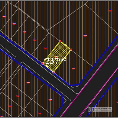 Bán biệt thự Thảo Điền