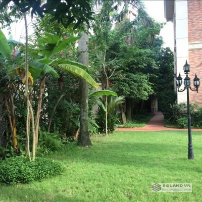 Bán biệt thự Thảo Điền khu Fideco 976m2 