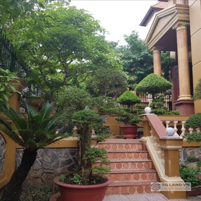 Biệt thự khu compound Phú Tường