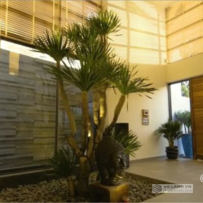 Bán biệt thự Thảo Điền 1000m2