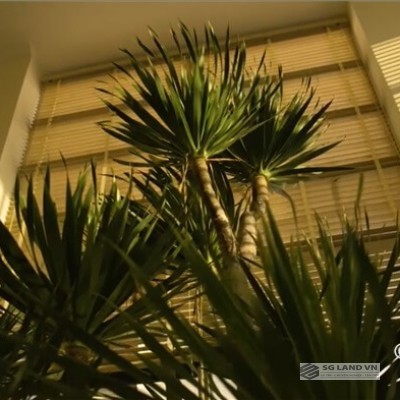 Bán biệt thự Thảo Điền 1000m2