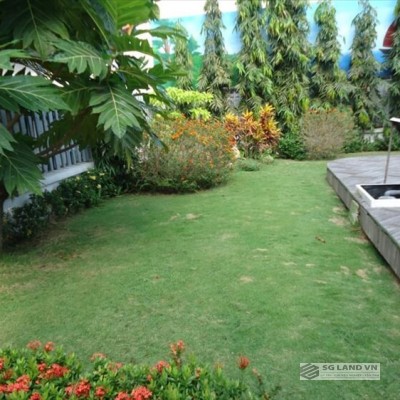 Biệt thự Thảo Điền cho thuê