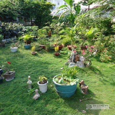 Villa cho thuê Quận 2