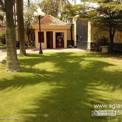 Biệt thự cho thuê Quận 2