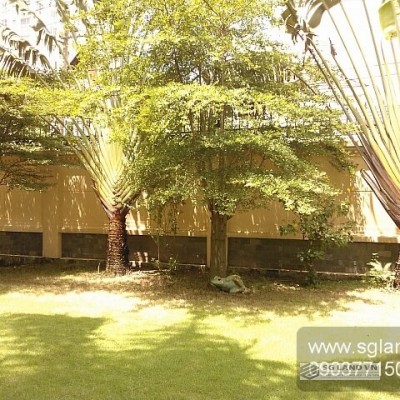 Biệt thự cho thuê Quận 2