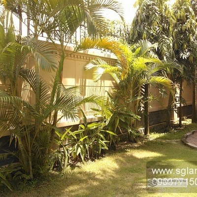 Biệt thự cho thuê Quận 2