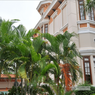 Cho thuê biệt thự hồ bơi sân vườn