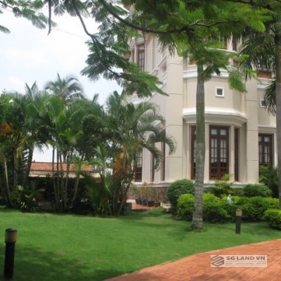 Cho thuê biệt thự hồ bơi sân vườn