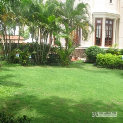 Cho thuê biệt thự hồ bơi sân vườn