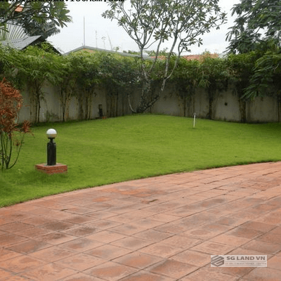 Cho thuê biệt thự hồ bơi sân vườn