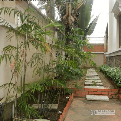 Cho thuê biệt thự hồ bơi sân vườn