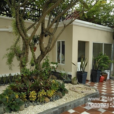 Cho thuê biệt thự khu đường Xuân Thủy