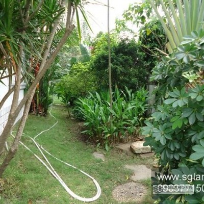 Cho thuê biệt thự cao cấp An Phú