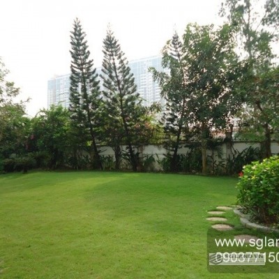 Cho thuê biệt thự cao cấp An Phú