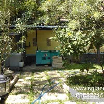 Cho thuê biệt thự Thảo Điền đường Xuân Thủy