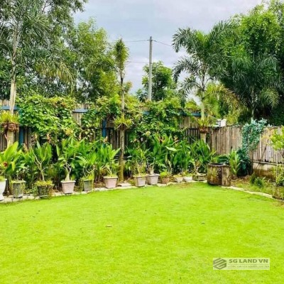 Đất Vườn Long Phước Quận 9
