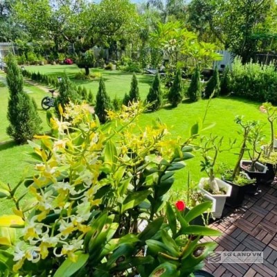 Đất Vườn Long Phước Quận 9