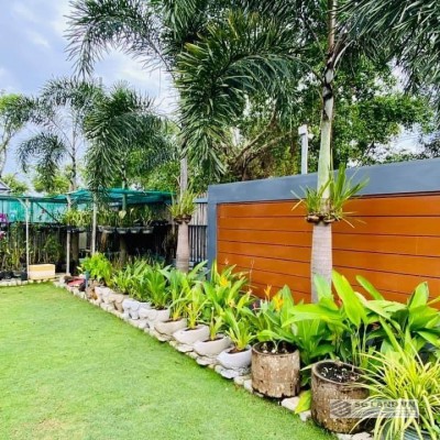 Đất Vườn Long Phước Quận 9