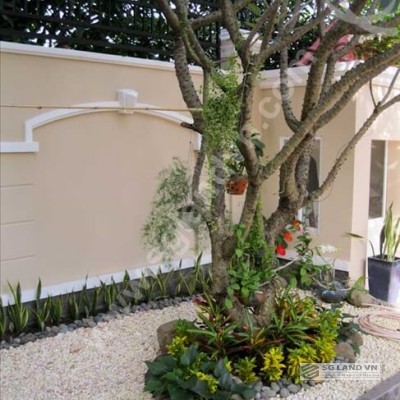 Bán biệt thự ở khu trung tâm phường Thảo Điền