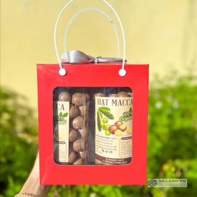 Hạt Macca đóng hộp 500g