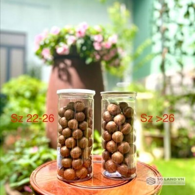 Hạt Macca đóng hộp 500g