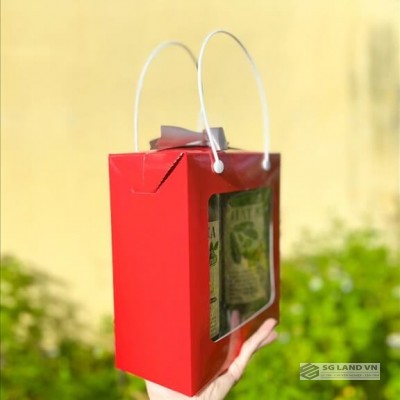 Hạt Macca đóng hộp 500g