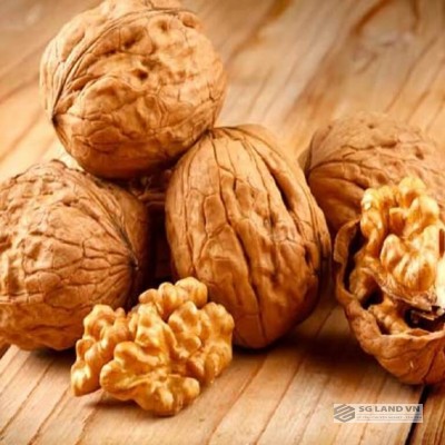 Hạt óc chó cho bà bầu