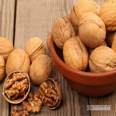 Hạt óc chó cho bà bầu