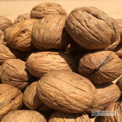 Hạt óc chó cho bà bầu