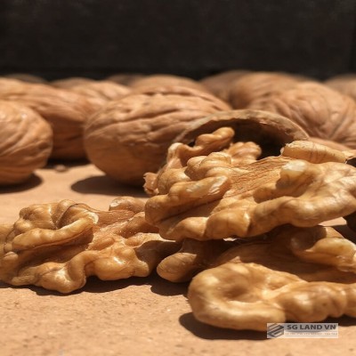 Hạt óc chó cho bà bầu