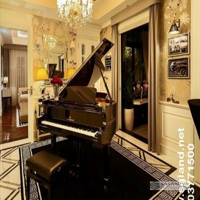 Bán Biệt Thự Mystery Quận 2