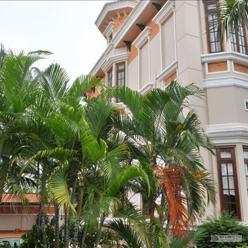 Cho thuê biệt thự hồ bơi sân vườn